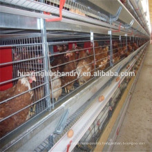 poultry equipment of chicken cage plans/chicken coop